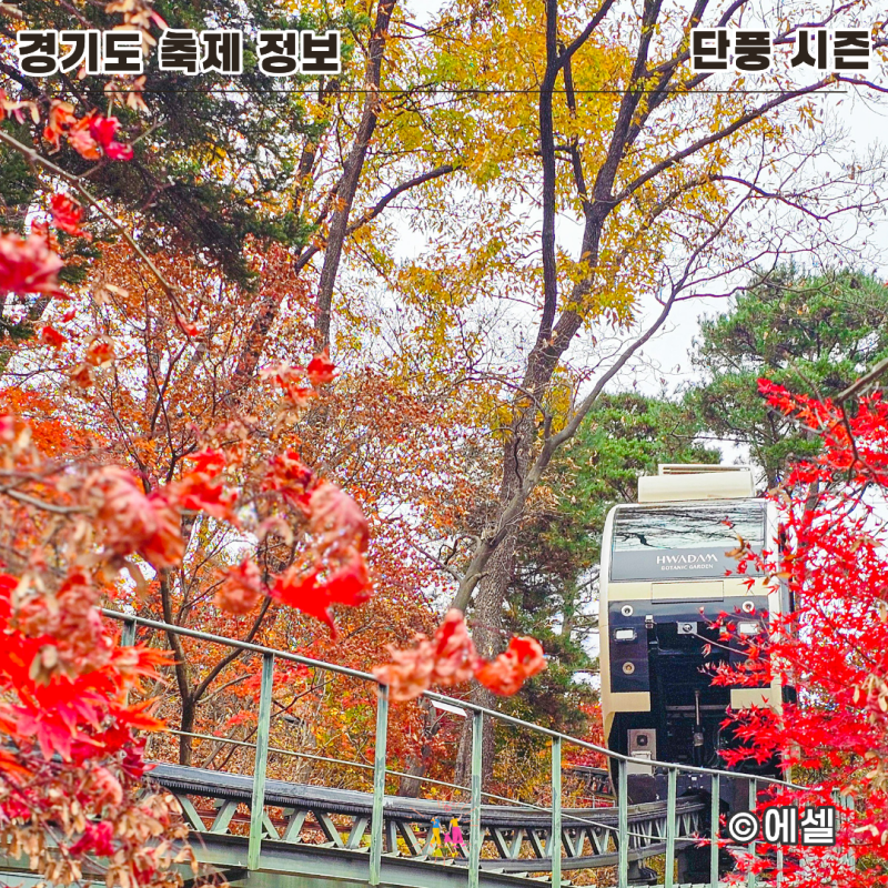 "모노레일 타야 할까?" 2026 경기 광주 화담숲 단풍 예약 오픈 일정과 최적의 시기 (현지인 꿀....