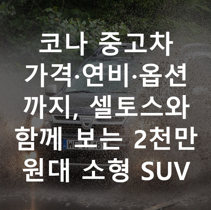 코나 중고차 가격·연비·옵션까지, 셀토스와 함께 보는 2천만 원대 소형 SUV