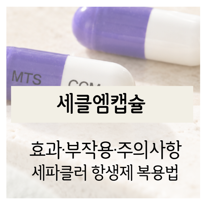세클엠캡슐 효능·부작용｜세파클러 항생제 복용법과 설사·알레르기 주의