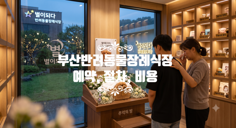 부산 반려동물 장례식장 솔직 안내 | 비용, 절차, 24시간 픽업 및 안락사 연계 서비스 (광재IC ....