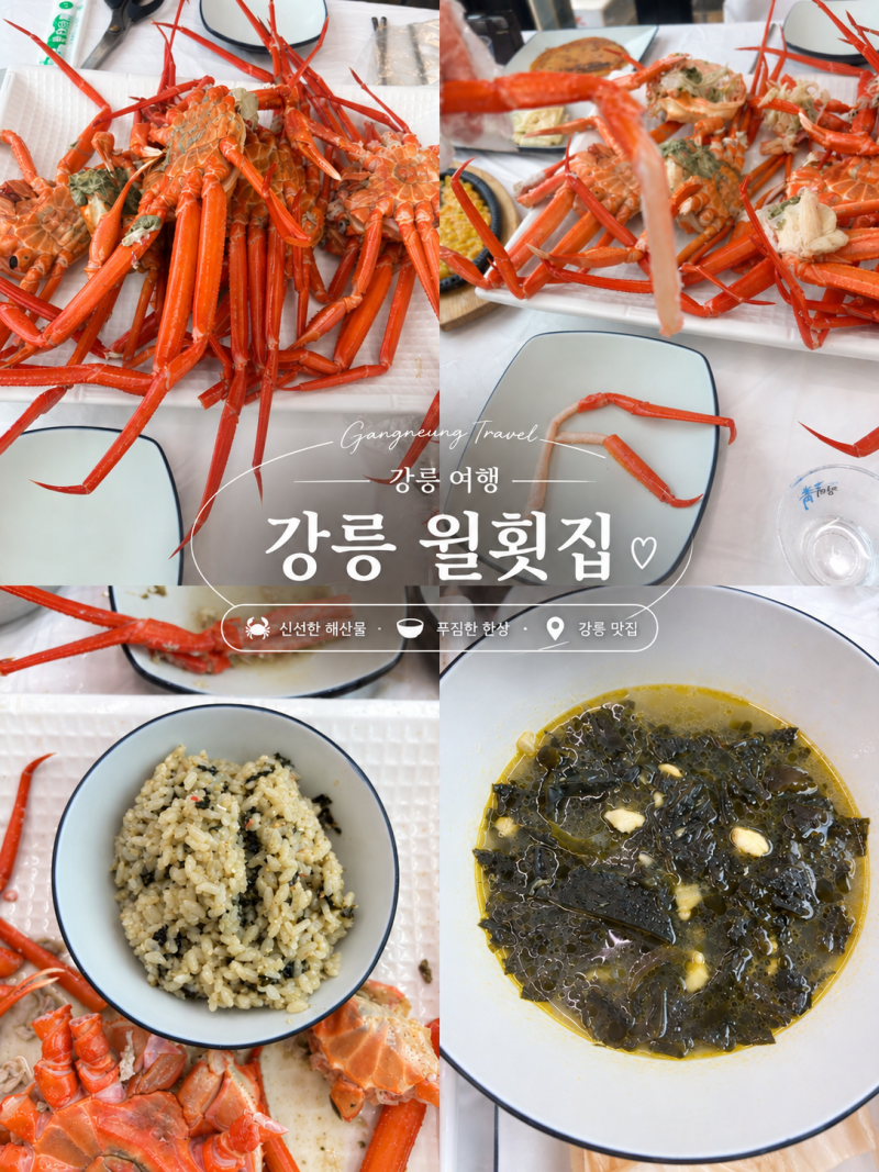 [강릉 여행] 강릉 홍게 무한리필, 경포해변에서 실컷 먹고 온 윌횟집