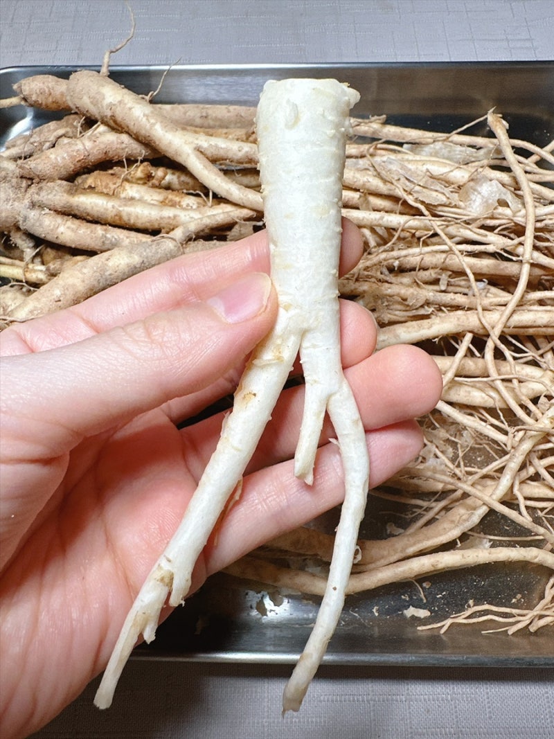 흙도라지 껍질 벗기는 방법 세척방법 보관법 껍질 제거 방법