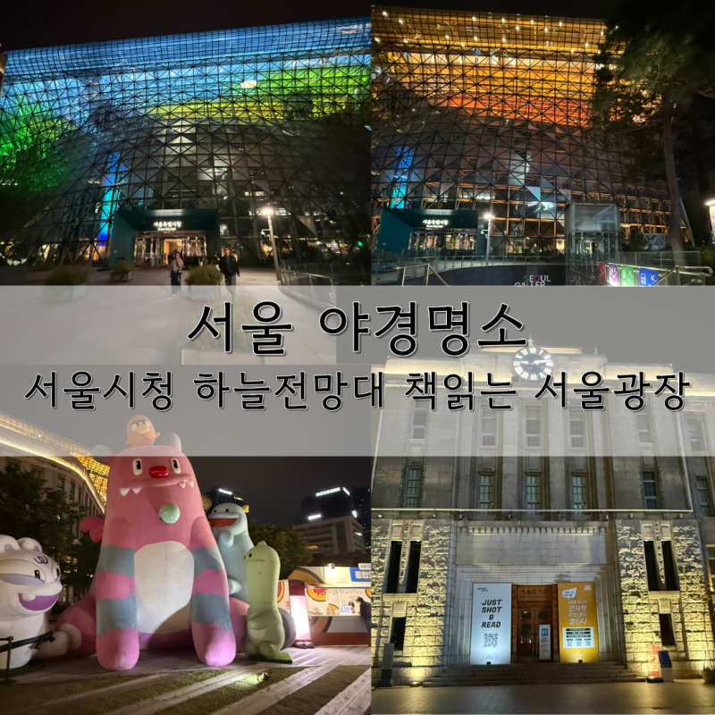 서울시청 야경 명소 하늘전망대와 서울 야외 도서관, 책 읽는 서울광장 방문후기