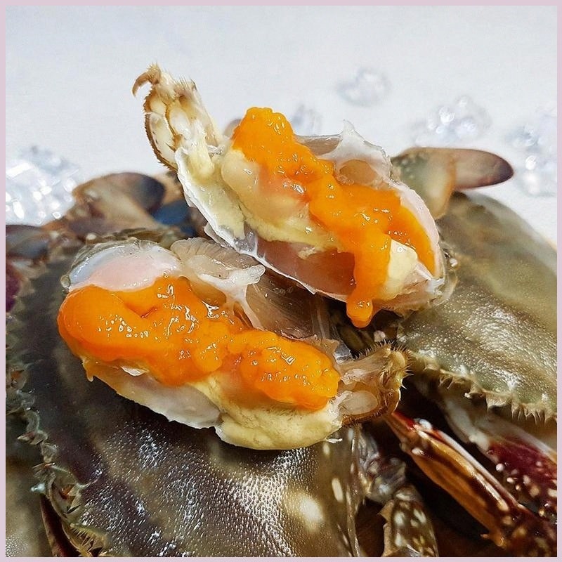 26년 첫조업 제철 봄 알배기 암꽃게 활꽃게 1kg 봄철 신선한 맛과 편리한 손질 방법까지 알아....