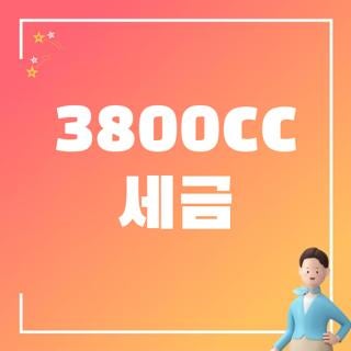 3800cc 세금 신청방법 연납시기 및 위택스 고지서 확인 요령 총정리