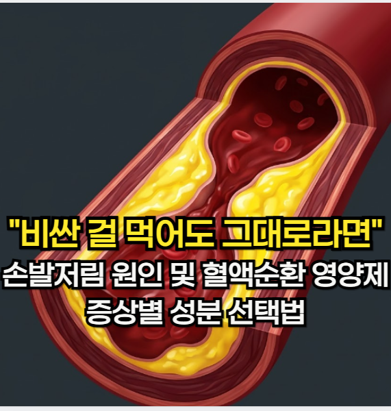 혈액순환 영양제, "비싼 걸 먹어도 그대로라면 필수 확인" 손발 저림 원인 및 증상별 성분 선....