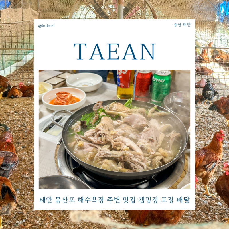 태안 몽산포 해수욕장 주변 맛집 캠핑장 포장 배달 가능한 백숙