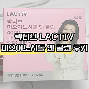 락티브 미오이노시톨 앤 콜린 4000 내돈내산 후기
