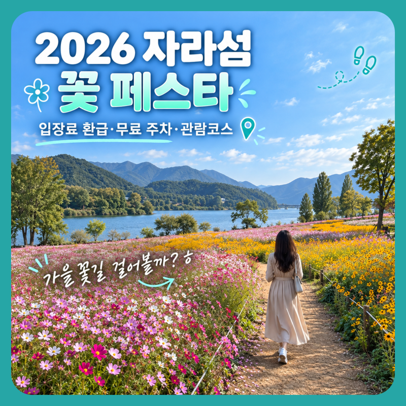 2026 자라섬 꽃 페스타 일정·입장료·주차, 가평 가을 나들이