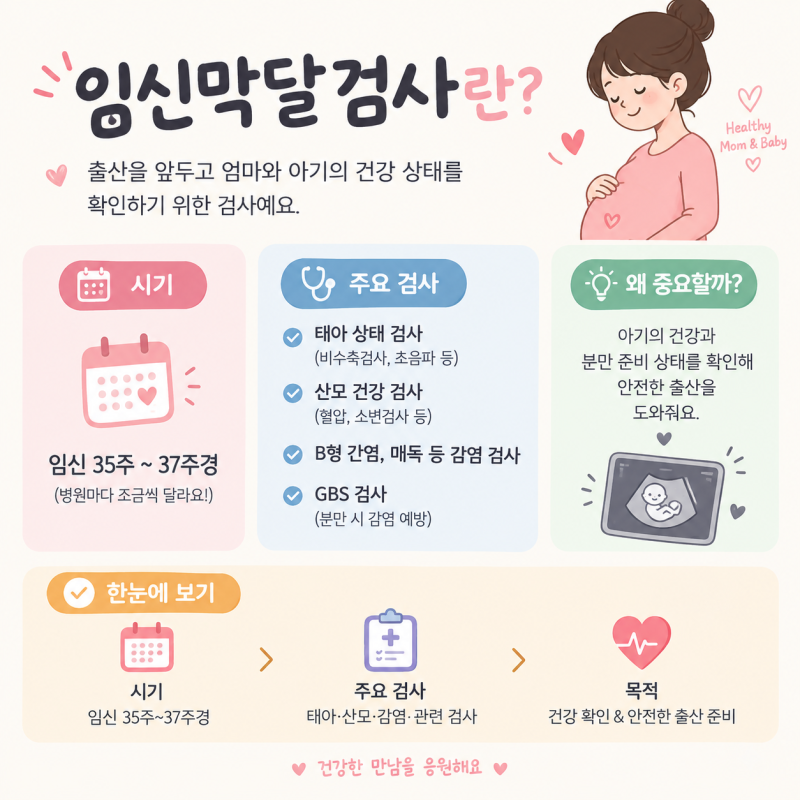 임신 막달검사란? 시기부터 검사 항목 / 검사비용까지 한눈에 정리
