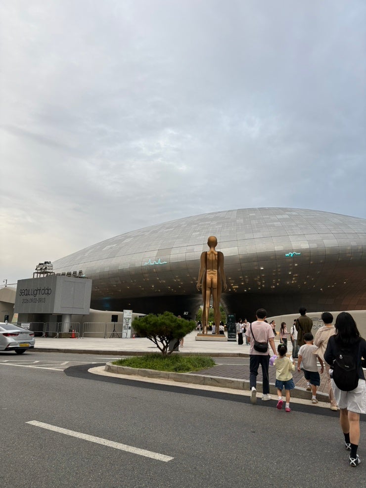 서울라이트 DDP 2026 | 아이와 무료로 즐긴 동대문 야간 미디어아트 후기