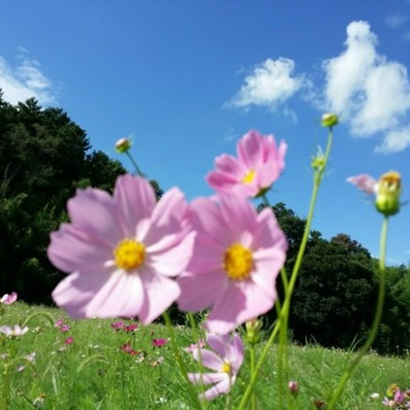 잇몸 퇴축 영양제 고르기 전에 볼 게 있었어요