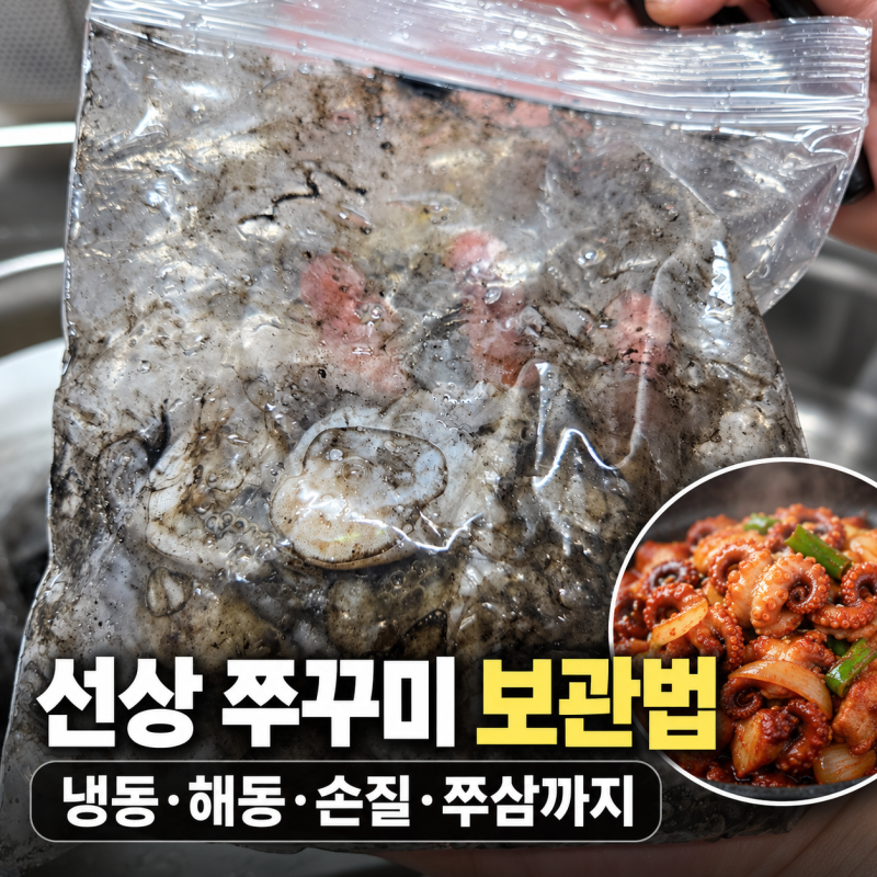 선상 쭈꾸미 보관법부터 해동·손질까지｜냉동 쭈꾸미로 쭈삼 만들기