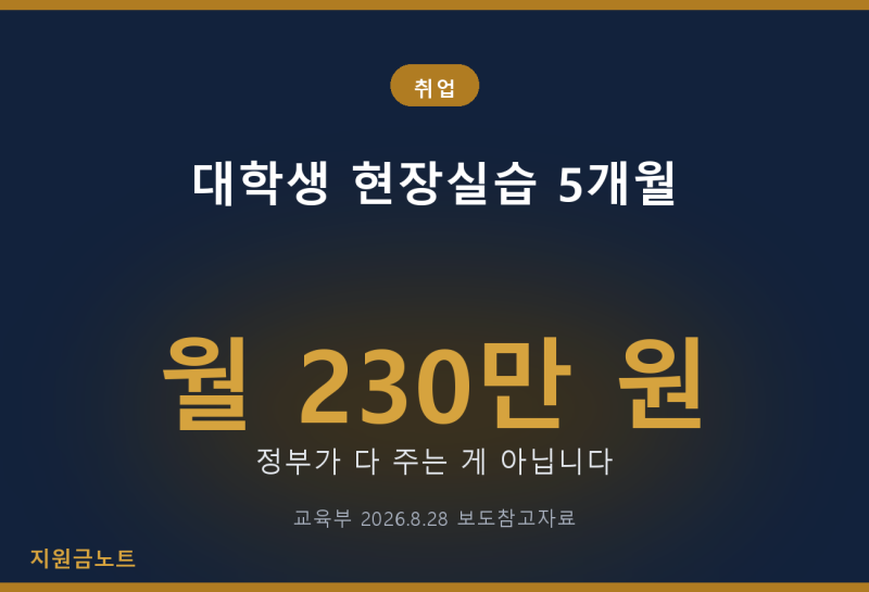 월 230만 원 준다는데 정부가 다 주는 게 아니었습니다 | 대학생 첫 경력 프로젝트, 현장실습 5....