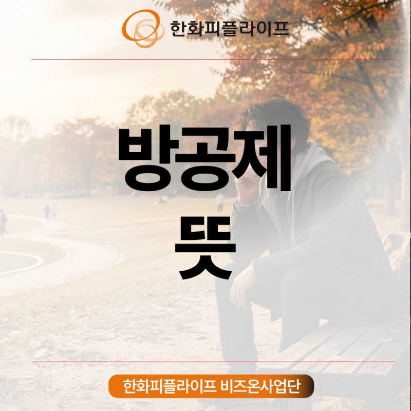 방공제 뜻 완벽정리 대출 한도가 줄어드는 진짜 이유