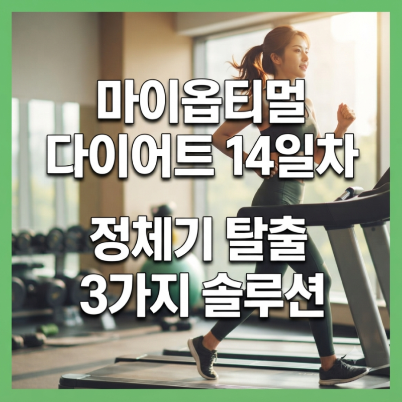 [박용우 마이옵티멀 스위치온 14일차] 체중 정체기 원인 3가지와 확실한 탈출 솔루션 ⚖️✨