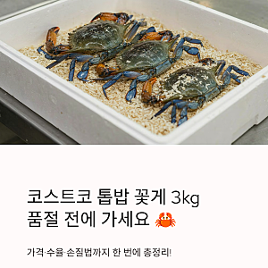 코스트코 톱밥 꽃게 3kg 가격 수율 손질법 총정리 | 품절 전에 가세요