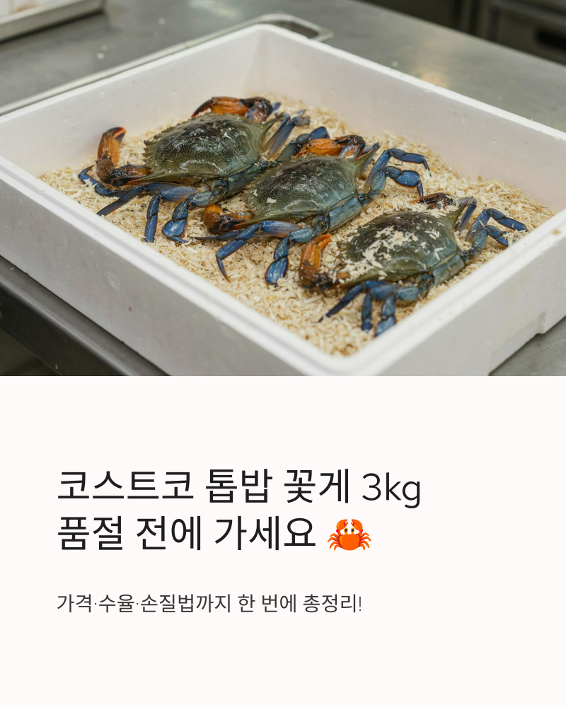 코스트코 톱밥 꽃게 3kg 가격 수율 손질법 총정리 | 품절 전에 가세요