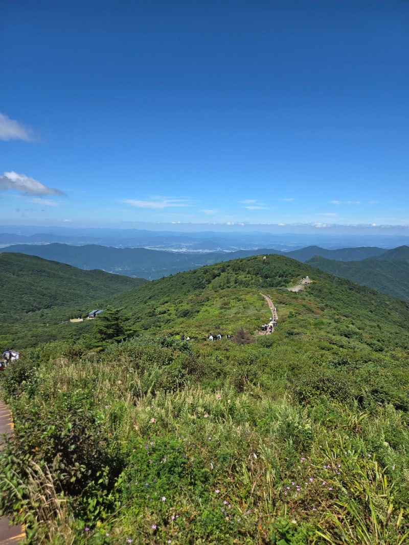 2026.09.05 지리산 노고단 산행일기