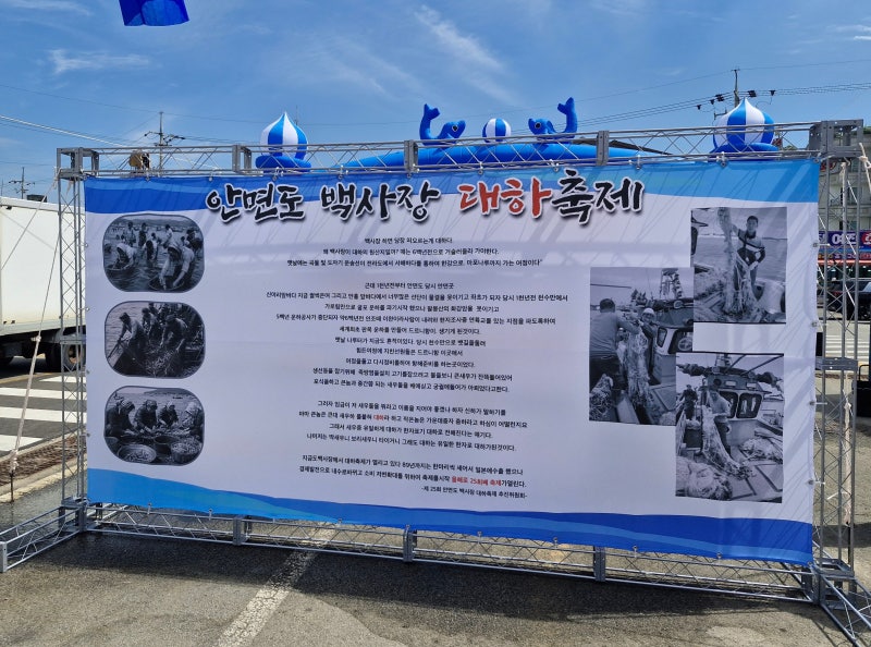 2026 제25회 태안 안면도 백사장 대하축제 드르니항 주차 후기