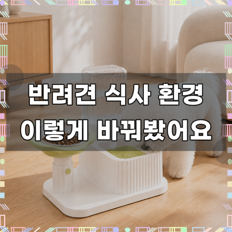 상덕 강아지 고양이 반자동 급수기 높이조절 스텐 밥그릇 반려동물 급수식기