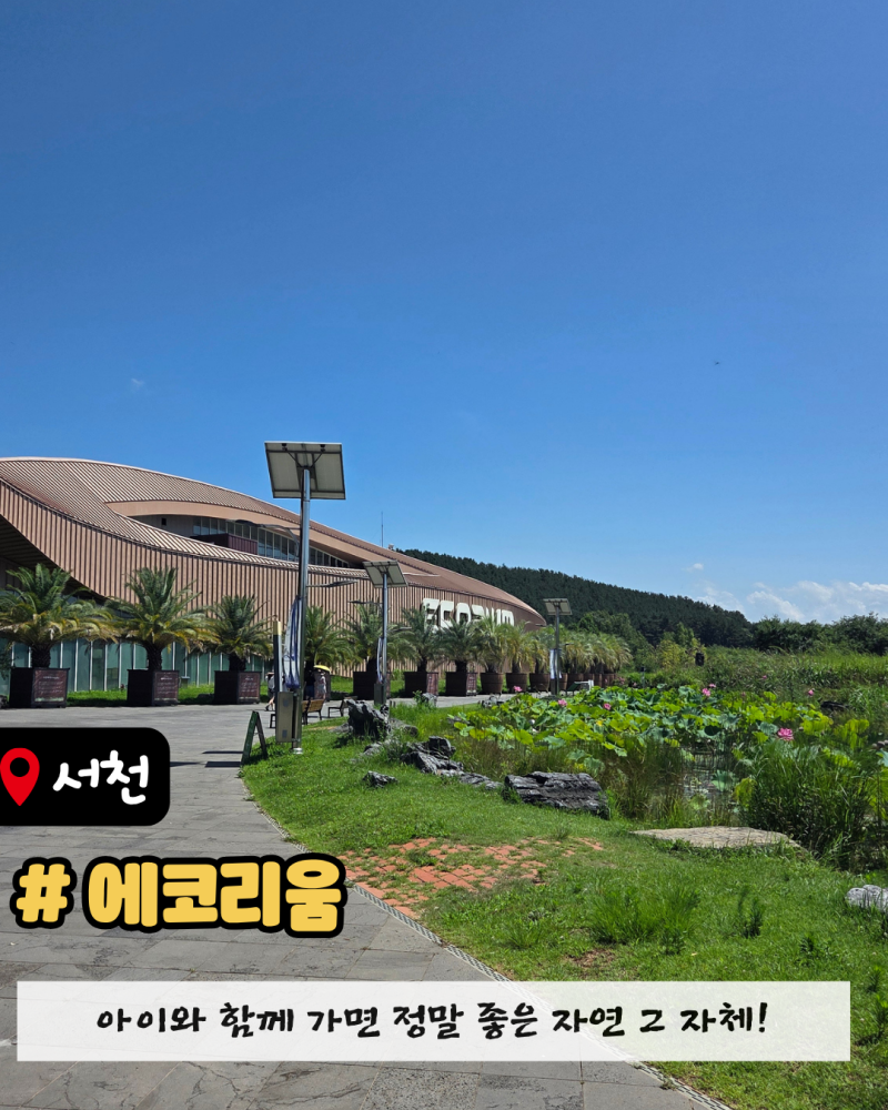 【舒川旅遊】舒川親子好去處 | 國立生態院生態館