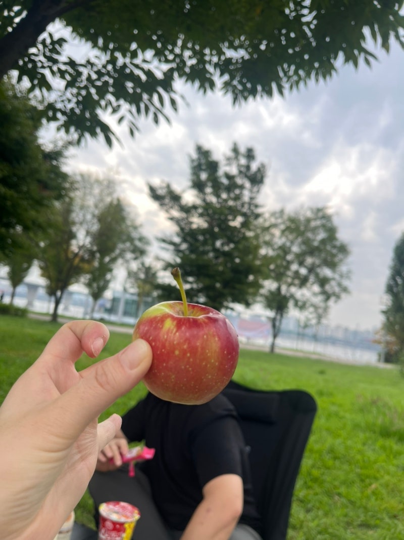 난지 한강공원 피크닉 후기 / 한강캠크닉, 한강 보며 맛있는 음식 먹고 여유롭게 힐링한 하루