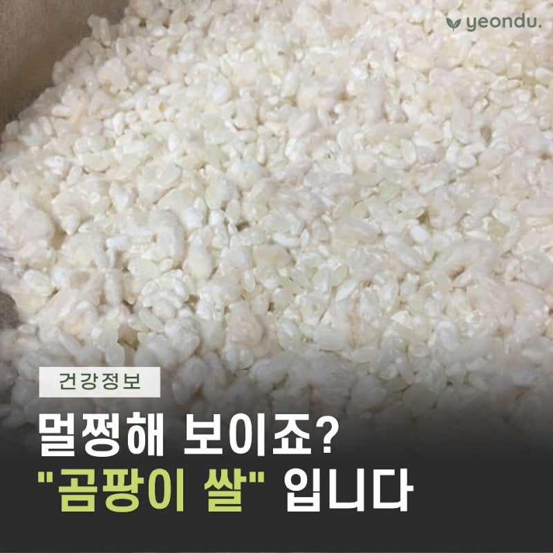 "냄새 좀 나는 쌀인데 뭐.." 곰팡이 쌀 모르고 먹었다면 이런 증상 그냥 넘기지 마세요