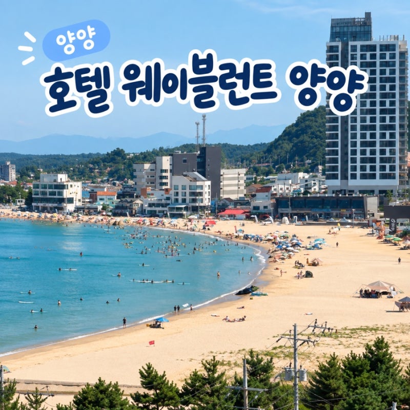 양양 숙소 추천 호텔 웨이블런트｜동산항 앞 가성비 숙소 후기