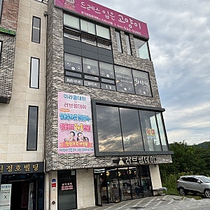 [아산 카페] 아산 유기묘 고양이 카페 드레스입은 고양이