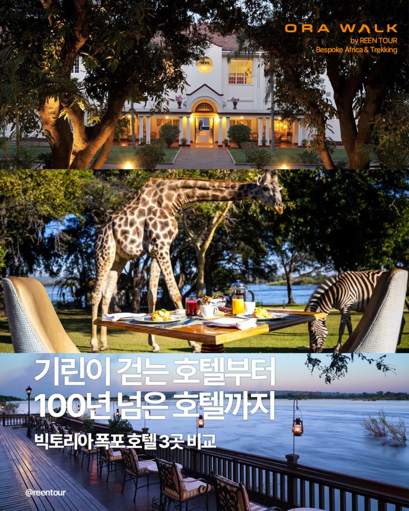 빅토리아 폭포 호텔 추천｜로얄 리빙스톤·아바니·빅토리아 폴스 호텔 비교