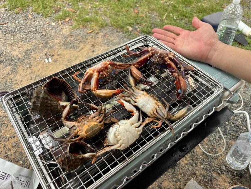 태안 학암포 해수욕장 해루질 & 학암포 오토캠핑장 2박3일 이용후기 & 태안 명물 우렁젓국 맛....