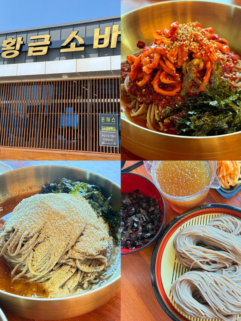 [충남보령] 보령 현지인 맛집 보령 소바 맛집 "황금소바"