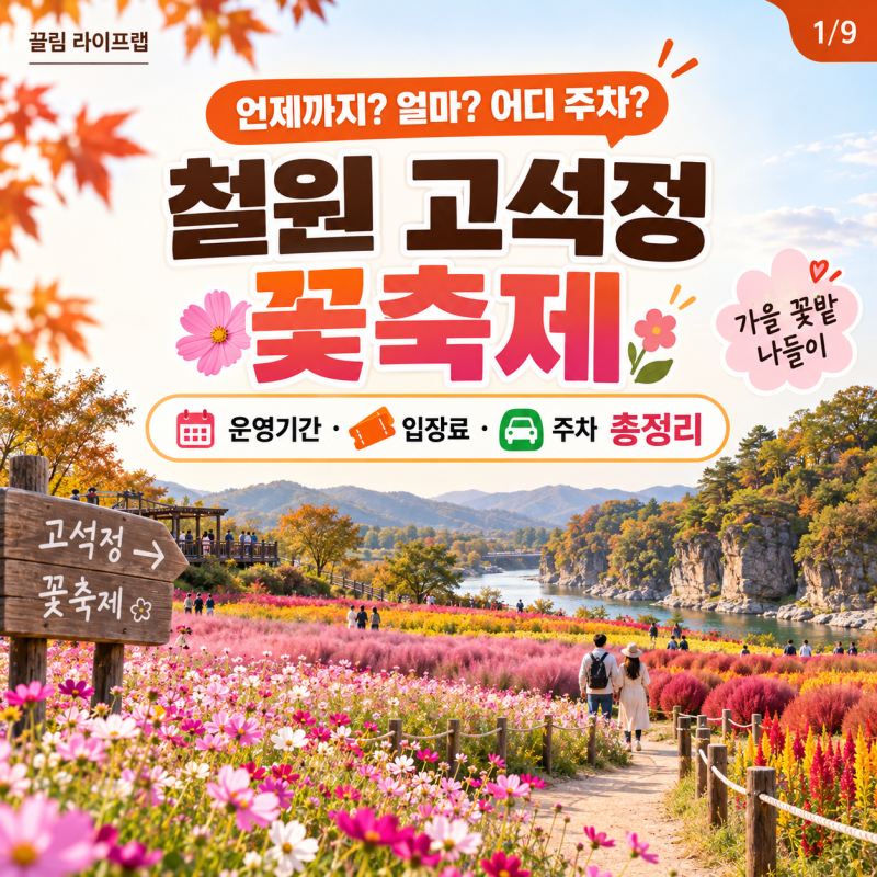 철원 고석정 꽃축제 2026 9월 언제까지? 입장료와 주차 정보