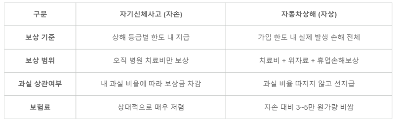자동차 보험 현명하게 가입하기_보상범위, 가격
