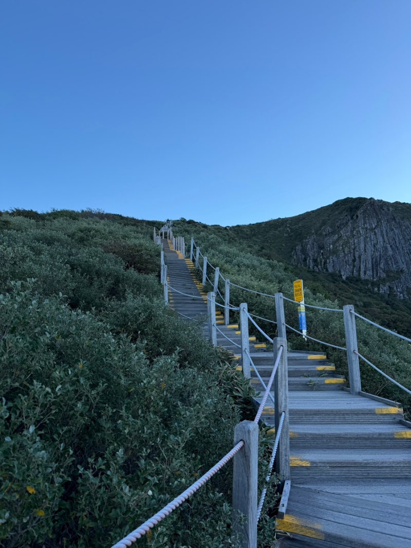 제주 한라산 영실코스 초보 등산 후기, 윗세오름까지 직접 다녀온 난이도