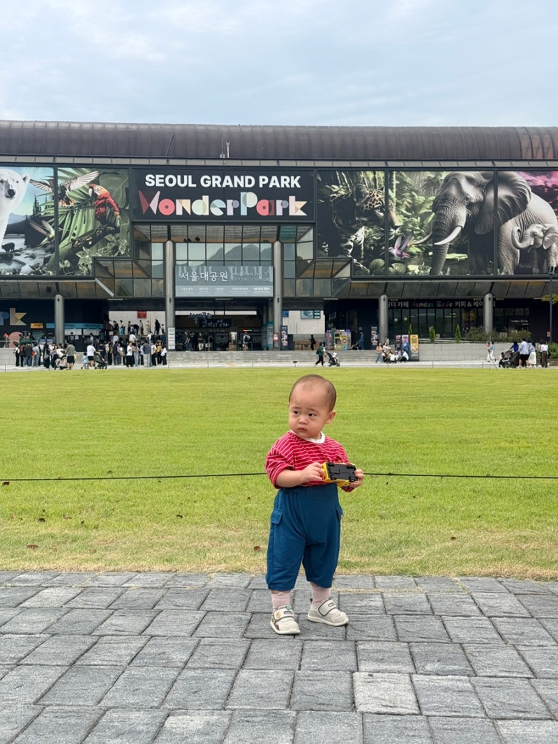 과천 서울대공원 동물원 18개월 아기랑 다녀왔어요~