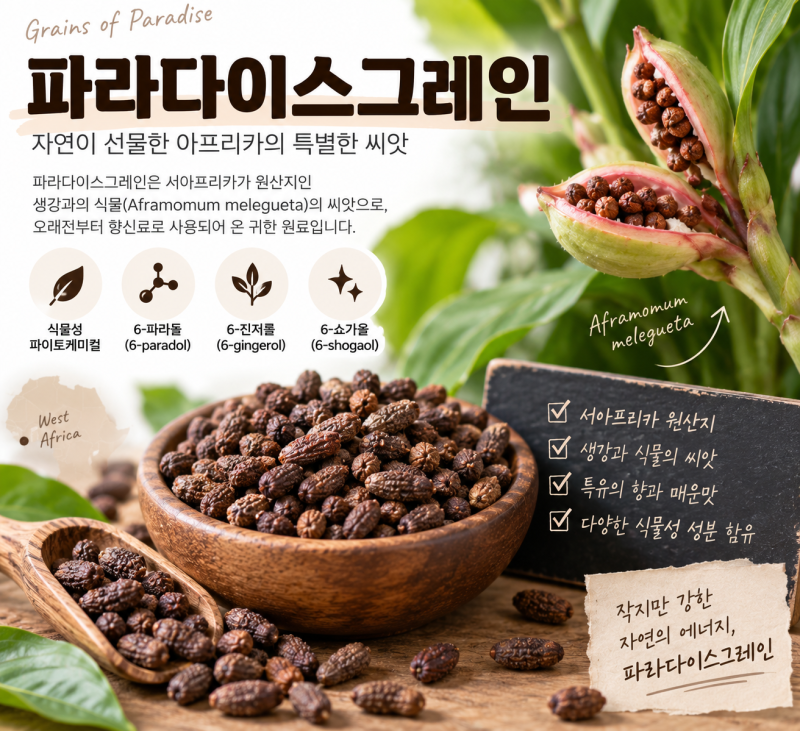 파라다이스그레인 파이토케미컬, 고르기 전 함량·농축률 꼭 확인하세요