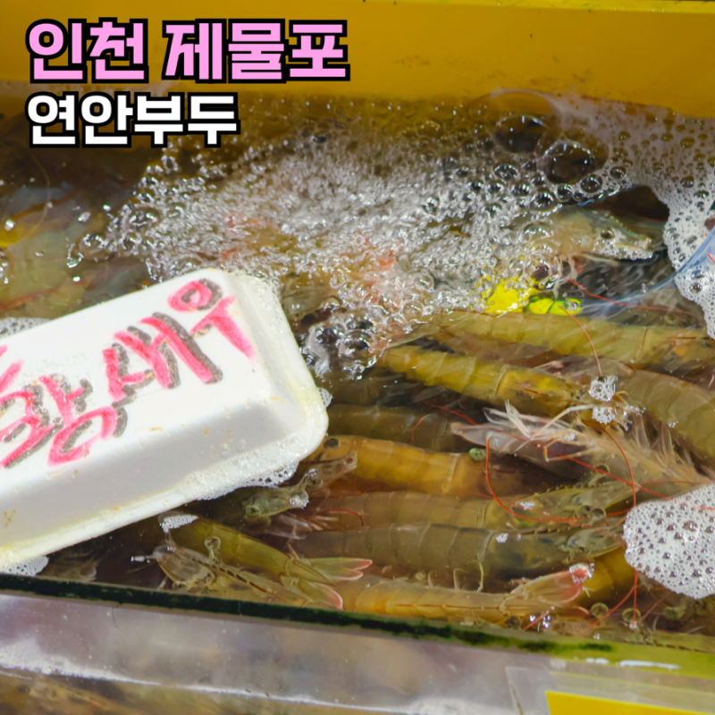 생새우회 시즌! 인천 연안부두 어시장 새우 꽃게 가격 얼마일까?