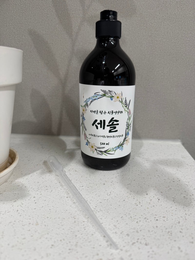 식물영양제 세솔, 햇빛 부족한 관엽식물영양제 다육이영양제