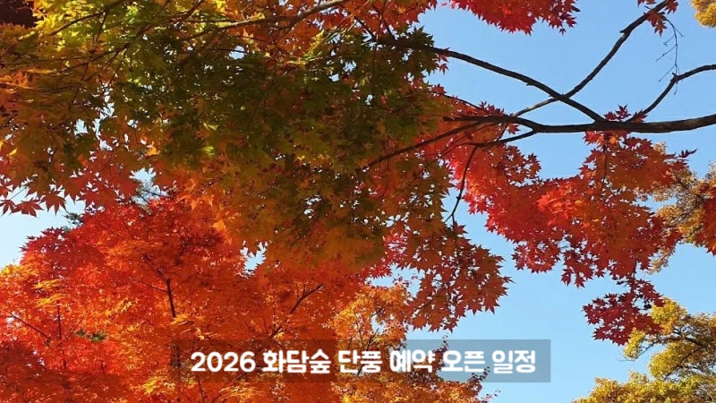 2026 화담숲 단풍 예약 오픈 일정과 모노레일 티켓팅 성공 꿀팁 총정리