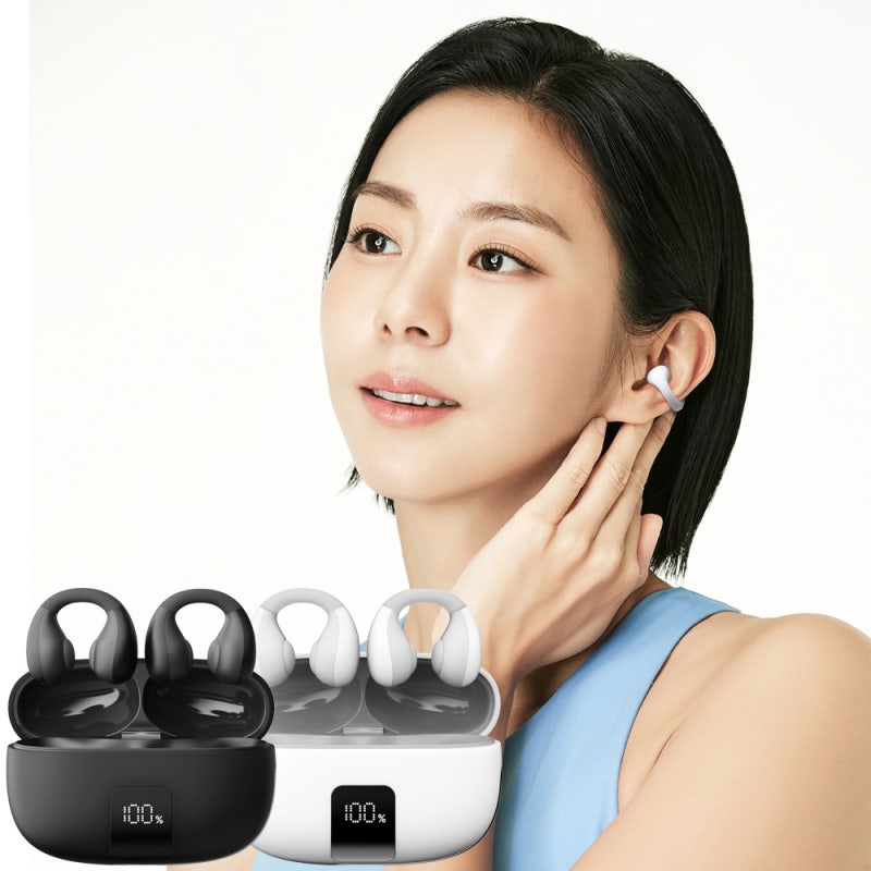 블라우풍트 귀걸이형 이어폰 N개월 사용 후기