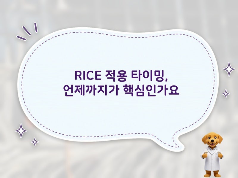 RICE 적용 타이밍과 발목 보호, 물리치료에서 강조하는 회복 순서 기준