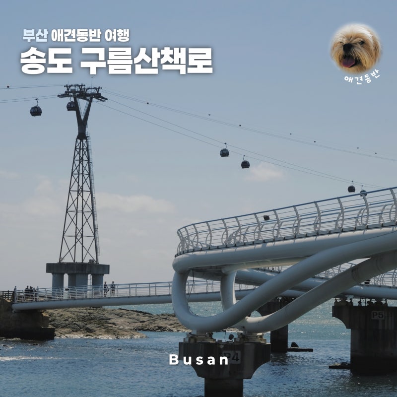 부산 애견동반 여행 가볼만한곳 송도 구름산책로 거북섬까지