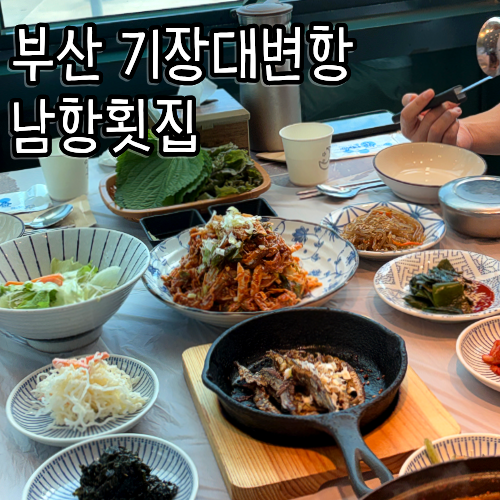 [남항횟집] 기장대변항맛집 멸치쌈밥 세트 솔직후기