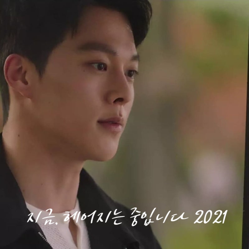 넷플릭스 시리즈 추천 [지금, 헤어지는 중입니다 2021] 송혜교 장기용 주연 줄거리(결말 포함) ....