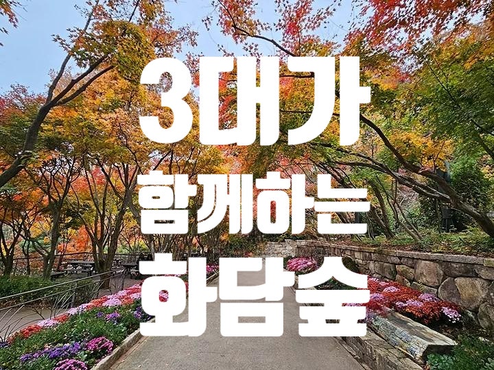 부모님 모시고 아이와 화담숲｜3대 가족여행, 모노레일·유모차·먹거리까지