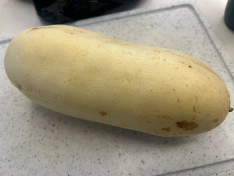 백노각 노란노각 차이부터 백노각무침 쓴맛 없이 절이는 꿀팁, 노각 보관기간까지 완벽 정리....