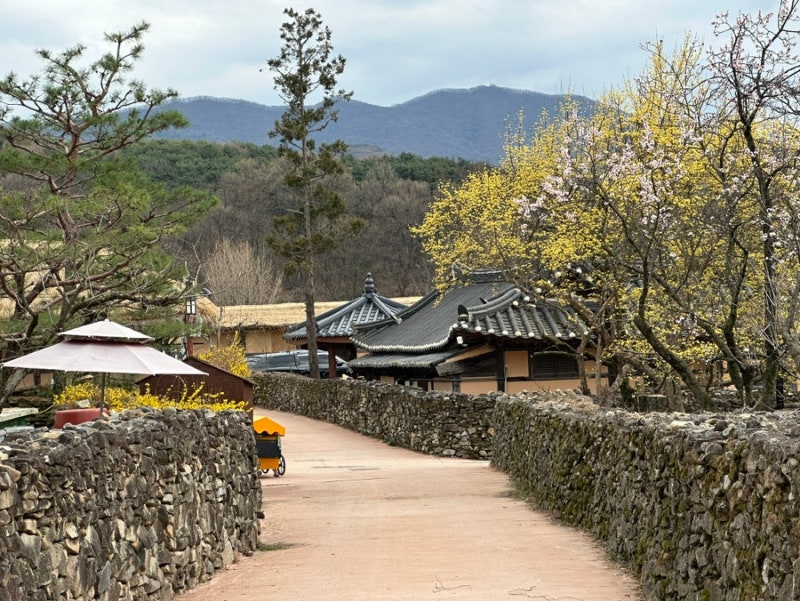 A Drive to Oeam Folk Village in Cheonan Asan, Where Stone Walls Are Beautiful
