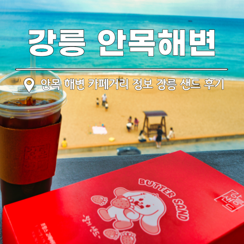 강릉 안목해변 커피거리 오션뷰 카페 '데이트코스'